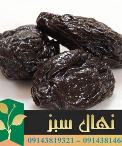 قیمت و خرید نهال آلو خشکباری (Dried plum seedlings)