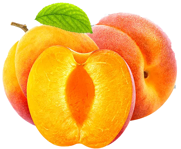 نهال زرد آلو آمبریوز