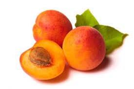 نهال زرد آلو هارکوت