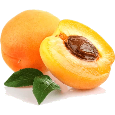 نهال زرد آلو گلدریج