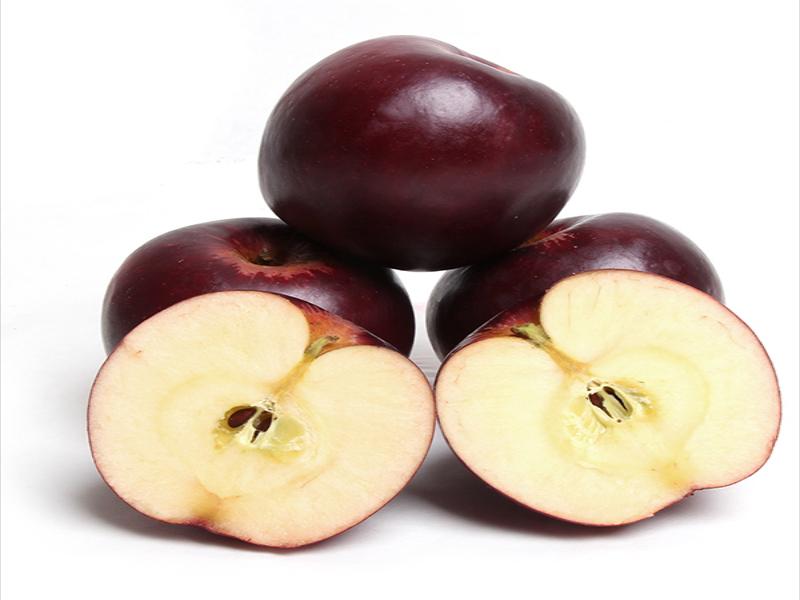 نهال سیب ارکانزاس