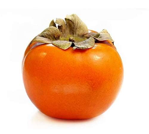 خرید نهال خرمالو سیبی