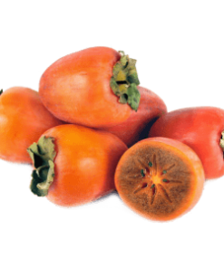 خرید نهال  خرمالو شنگ Sheng