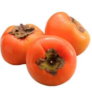 خرید نهال خرمالو هونان رد Honan Red