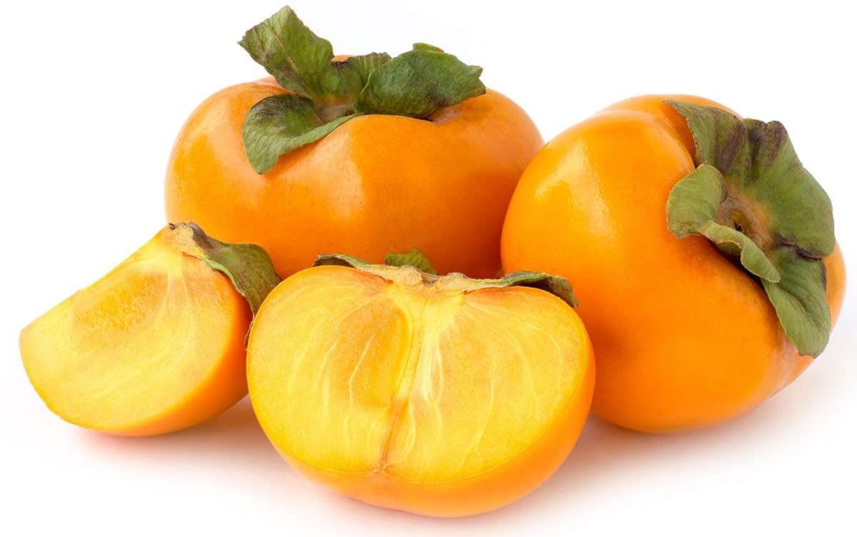 خرید نهال خرمالو یوتسومیزو Yotsumizo