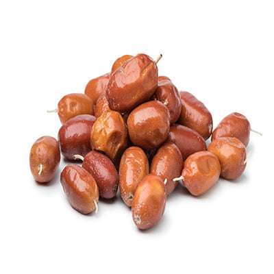 خرید نهال سنجد کوهی