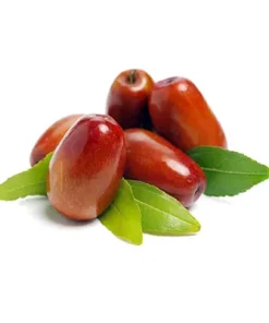 خرید نهال  عناب گلابی