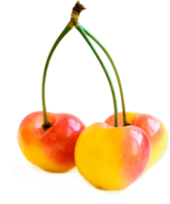 خرید نهال گیلاس زرد